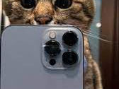Iphone 14  куплю / Cumpar Iphone14