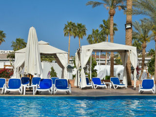 Шарм Эль Шейх!  Отель  "Seti Sharm Resort 4*" Вылет 15.12.2024!