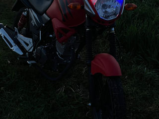 Viper Z250A foto 4