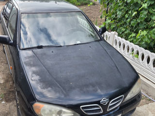 Nissan Primera, 1999 г.