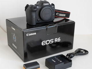 Canon R6