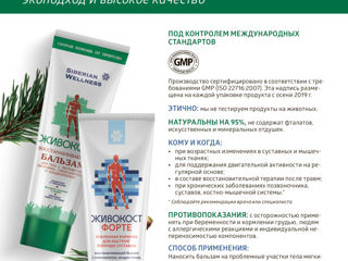 Живокост Форте Spongilla & comfrey Flex Rub Усиленная формула с комплексом хондропротекторов. foto 4