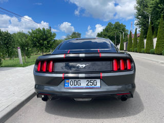 Ford Mustang foto 5