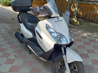 Piaggio X7 EVO 300cm3 foto 4