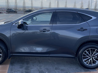 Lexus NX Series foto 8