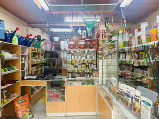 Se vinde Magazin (imobil comercial) în centrul orașului Soroca! foto 1
