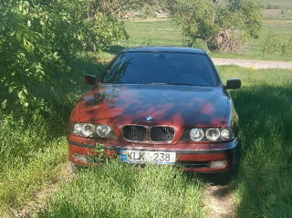 BMW 5 Series foto 5