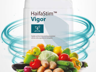 HaifaStim Vigor / Haifa Chemical Ltd. foto 4