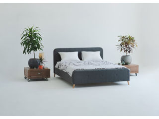 Plapuma SOMFY Word CT150 160x200 cm