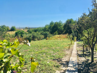 Se vinde casa s Ustia r Dubasari. foto 10