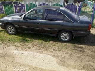 Opel Omega foto 3