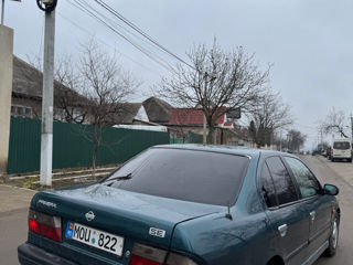 Nissan Primera foto 2