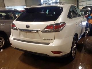 Lexus RX Series foto 1