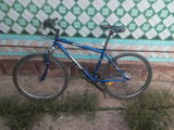 Bicikleta foto 1