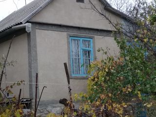 Se vinde casa -vila în satul Botnarestii Noi. Anenii Noi foto 1