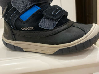 Geox foto 2