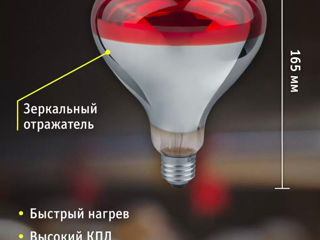 Becuri IKZ,лампы для обогрева птиц,животных Е27-25W,40W,60W,75W,100W,250W foto 1