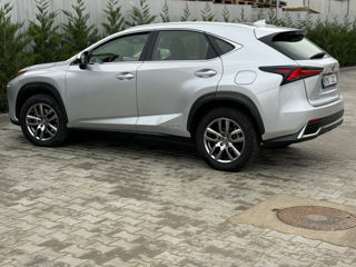 Lexus NX Series foto 11