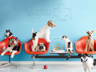 Clinică și farmacie veterinară foto 6