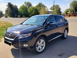 Lexus RX Series