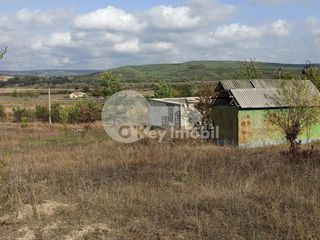 Teren agricol, traseul Chișinău-Strășeni, 300 ari, 30000 € ! foto 3