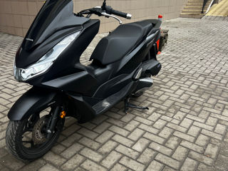 Honda PCX125 foto 10