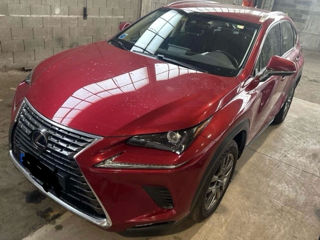 Lexus NX Series