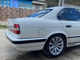 BMW 5 Series foto 3