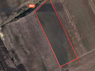 De vanzare teren 18,35 hectare la 5 km de Chisinau