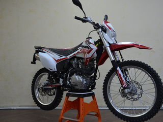 Kayo T1 model 2021 foto 2