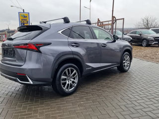 Lexus NX Series