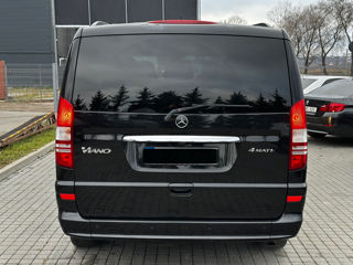 Mercedes Viano foto 5