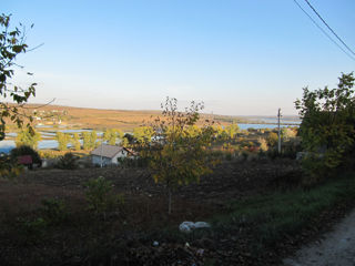 20 соток под огород ,сел. Ниморены , рядом с озером , 10 км.от Кишинева foto 1