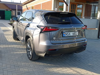 Lexus NX Series foto 10