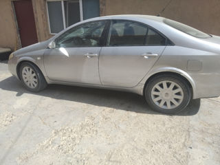 Разборка Nissan Primera P10 , P11, P12. Almera Tino , N16 ! Piese , Запчасти ! foto 1