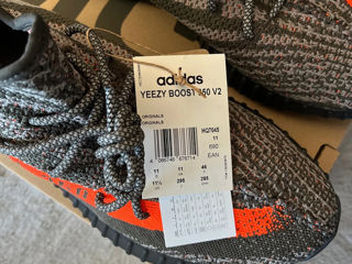 Adidas Yeezy 350v2 Beluga og original foto 8