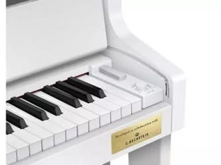 Casio Gp-310 foto 3