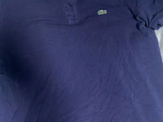 Lacoste Polo