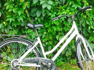 se vinde bicicleta urgent foto 2