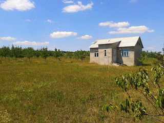 Urgent. casa in s.Bolohani r. Orhei foto 1