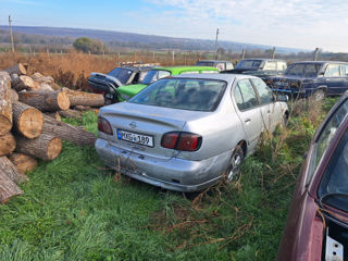 Nissan Primera foto 4