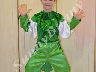 Прокат карнавальных костюмов для детей, Ботаника! Costume de carnaval, chirie, Botanica! foto 6