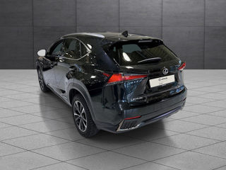 Lexus NX Series