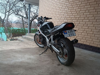 Suzuki Bandit foto 6