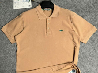 Tommy Hilfiger, Lacoste, Polo Ralph Lauren foto 2