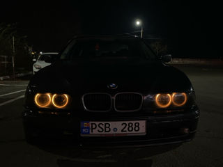 BMW 5 Series foto 8