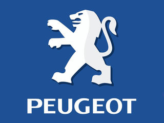 Peugeot 207 foto 1