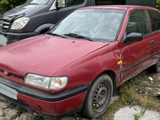 Nissan Sunny foto 1