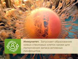 Новинка в Молдове-БАД Синтезит (Synthesit)! foto 7