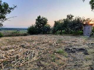 Casa Gura Bicului - 55 km de la Chisinau/ 25 km de la Anenii Noi foto 8